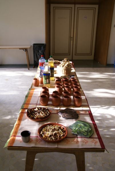Certamen Turicense 2009