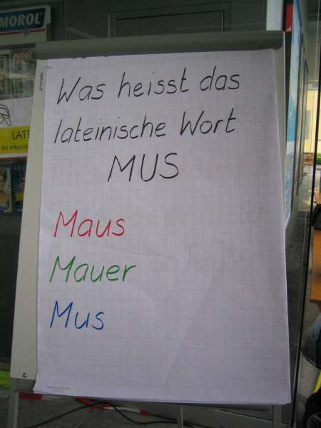 1 2 oder 3